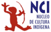 Nucleo de cultura indigena logo